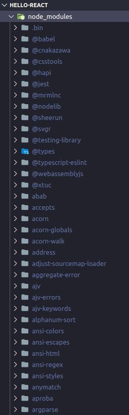 node_modules